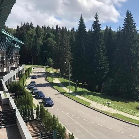 Silver Mountain, Duplex 3 - 250 Mp Luxury Garden - Poiana