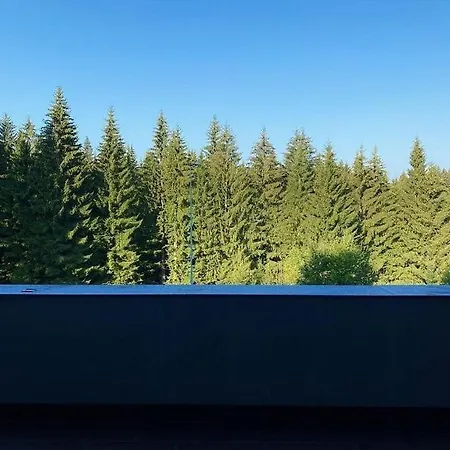 Silver Mountain, Duplex 3 - 250 Mp Luxury Garden - Poiana شقة *