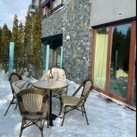Silver Mountain, Duplex 3 - 250 Mp Luxury Garden - Poiana * ブラショフ