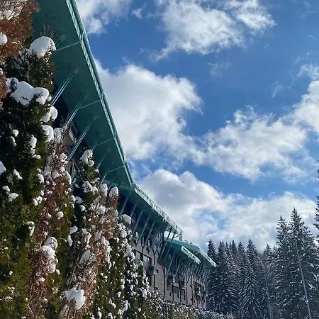 Silver Mountain, Duplex 3 - 250 Mp Luxury Garden - Poiana Brašov