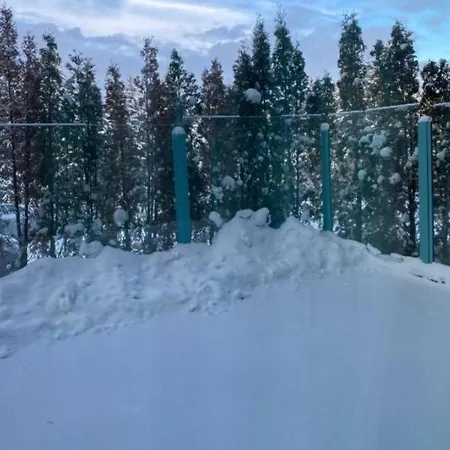 Silver Mountain, Duplex 3 - 250 Mp Luxury Garden - Poiana