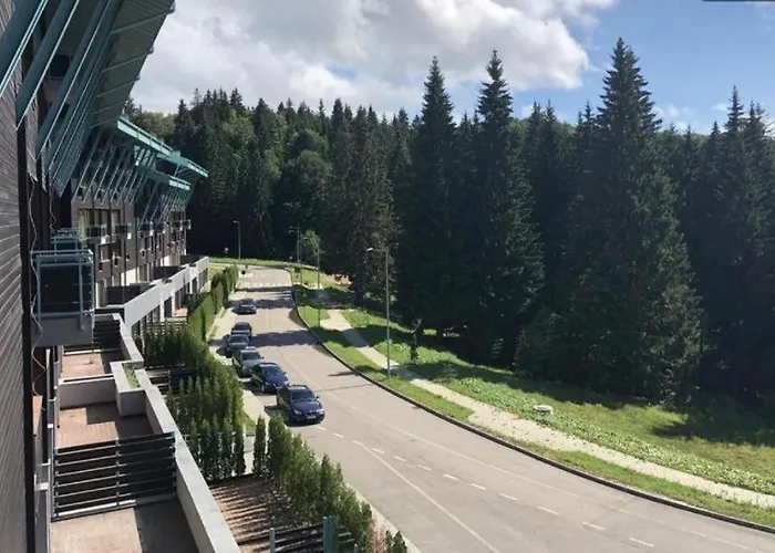 Silver Mountain, Duplex 3 - 250 Mp Luxury Garden - Poiana