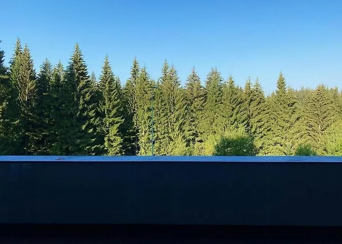 Silver Mountain, Duplex 3 - 250 Mp Luxury Garden - Poiana 公寓 *