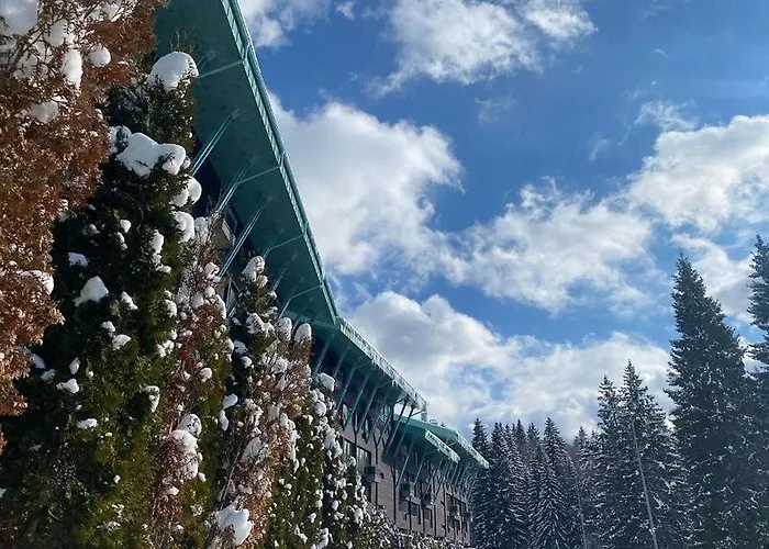 Silver Mountain, Duplex 3 - 250 Mp Luxury Garden - Poiana 布拉索夫